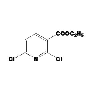 ETHYL-2,6-DICHLORO PYRIDINE-3-CARBOXYLATE